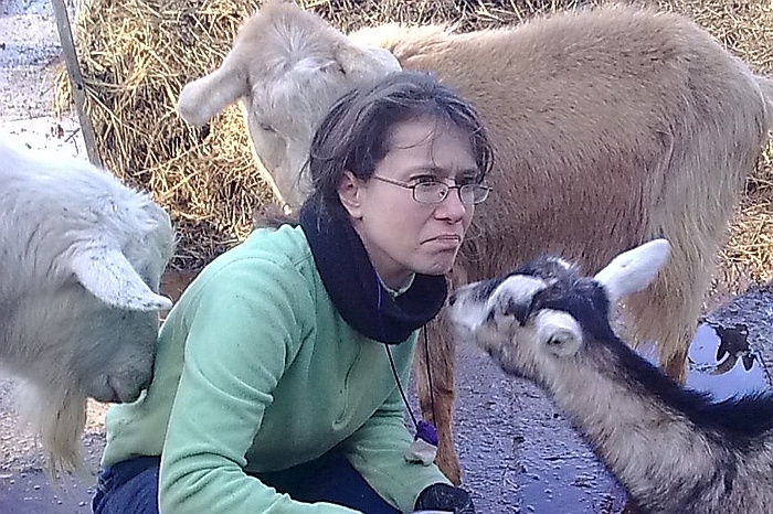 Goats and Humans: Can Goats Sense Emotions?